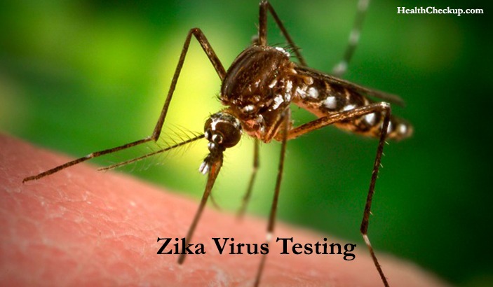 Zika Virus testing and symptoms of zika virus