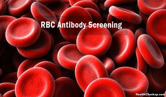 RBC Antibody Screen Blood Test : Procedure and Results