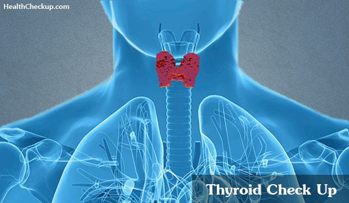 Thyroid Function Tests and results-normal values