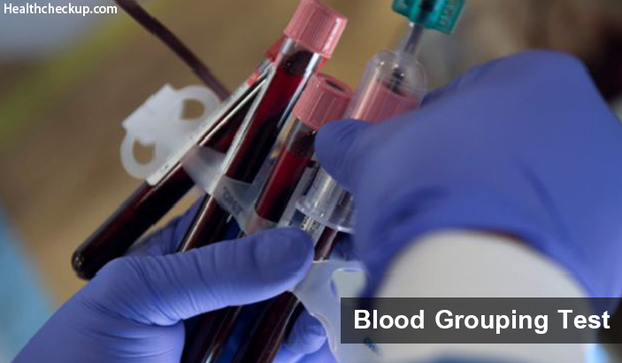 Blood Grouping Test