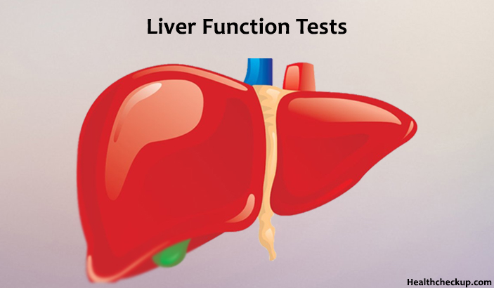 liver function tests