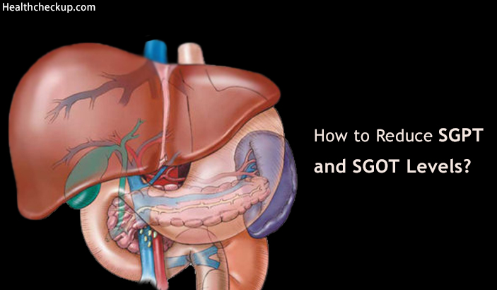 How to Reduce SGPT and SGOT Levels?