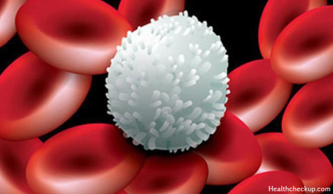 Low Lymphocyte Count Causes, Symptoms, Normal Ranges, Treatment
