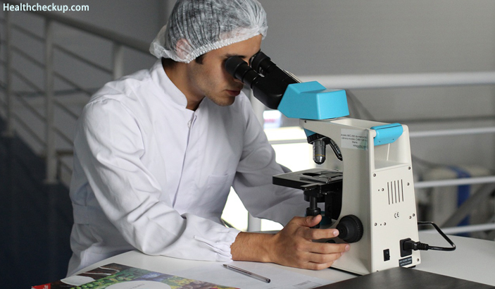 Microscopic Examination of the Urine Sample