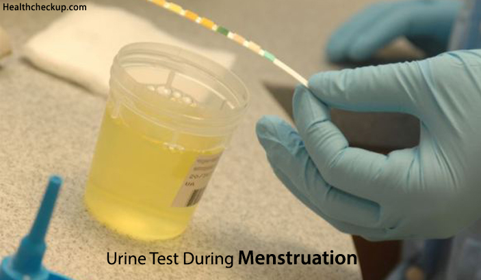 Urine Test During Menstruation