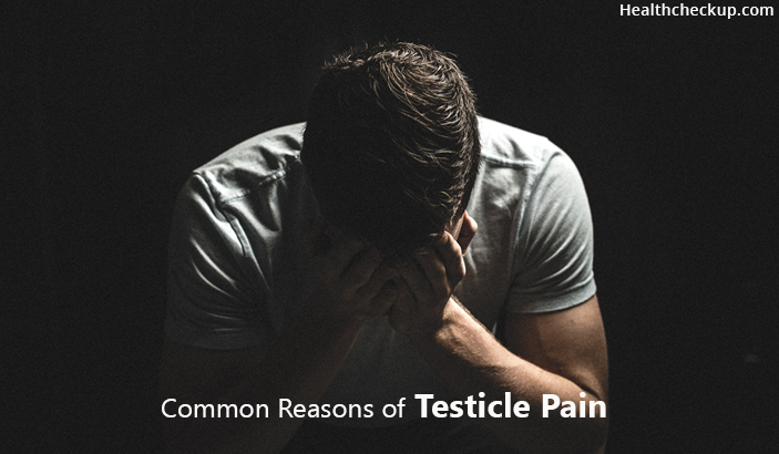 Common Reasons of Testicle Pain