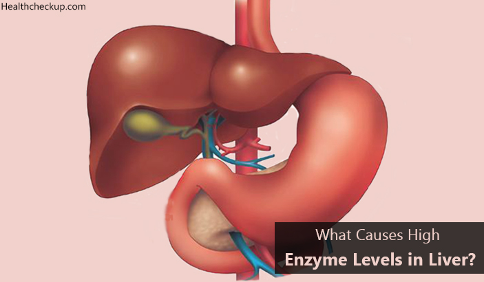 What Causes High Enzyme Levels in Liver