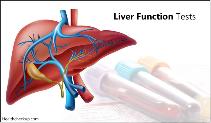 liver function test