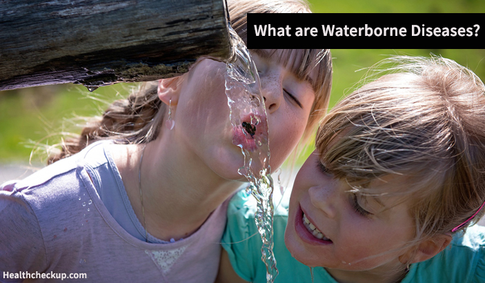 what are waterborne diseases?