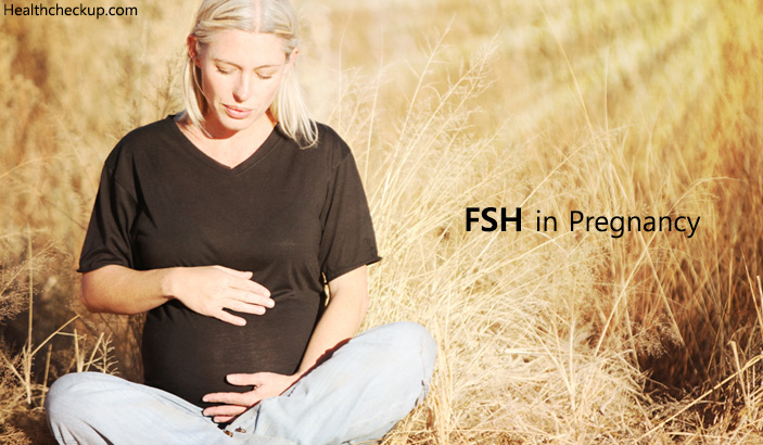 FSH in Pregnancy