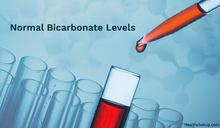 Normal bicarbonate levels