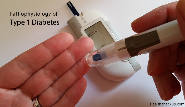 Pathophysiology of TYpe 1 Diabetes