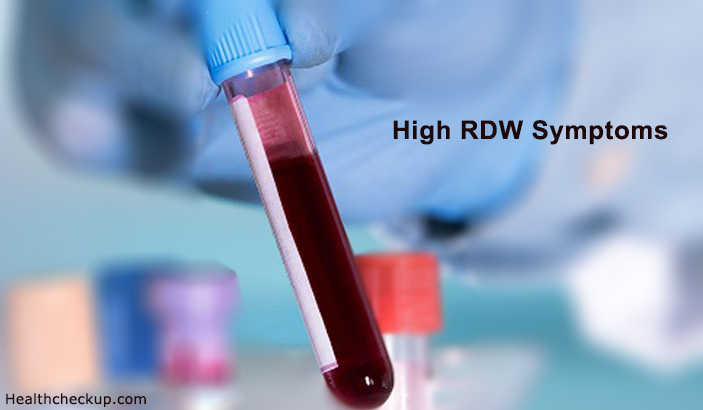 high RDW symptoms