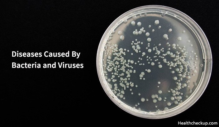 Diseases Caused By Bacteria and Viruses