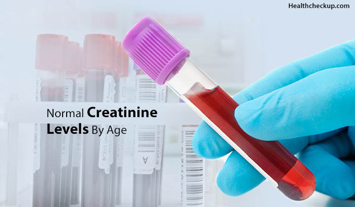 Normal Creatinine Levels By Age