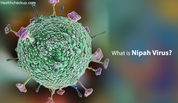 What is Nipah Virus