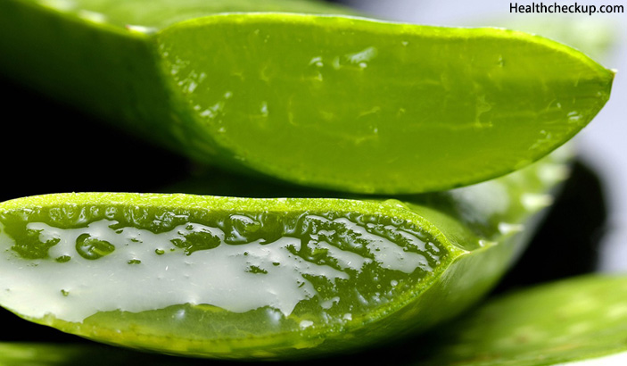 Aloe Vera - To Avoid Miscarriages in Early Pregnancy