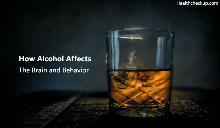 how alcohol affects the brain and behavior