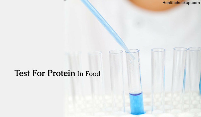 How to Test for Protein in Food