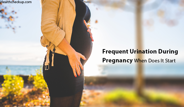 Frequent Urination During Pregnancy When Does It Start