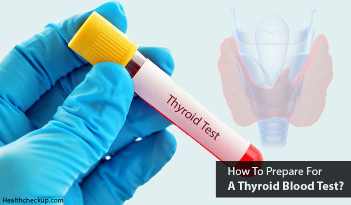 How To Prepare For A Thyroid Blood Test?