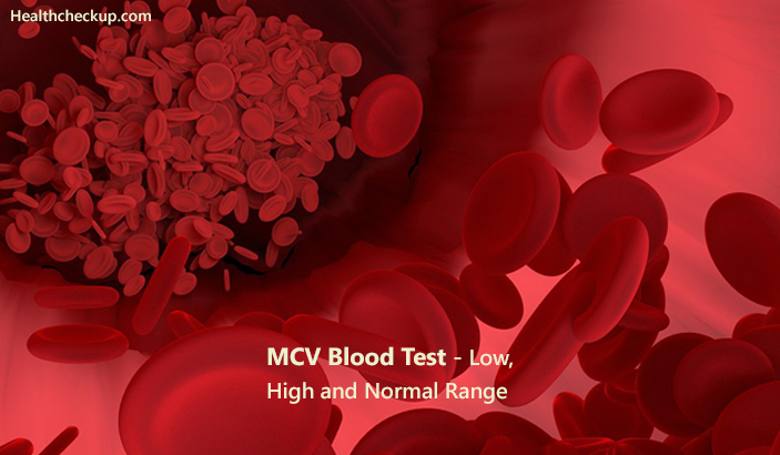 MCV Blood Test - Low, High and Normal Range