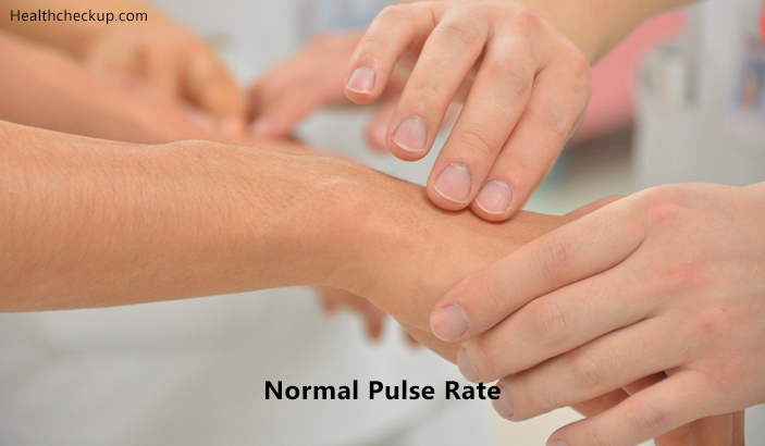 Normal Pulse Rate