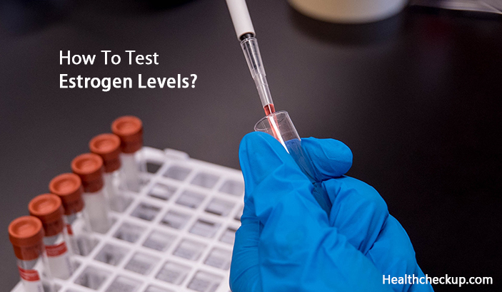 How To Test Estrogen Levels