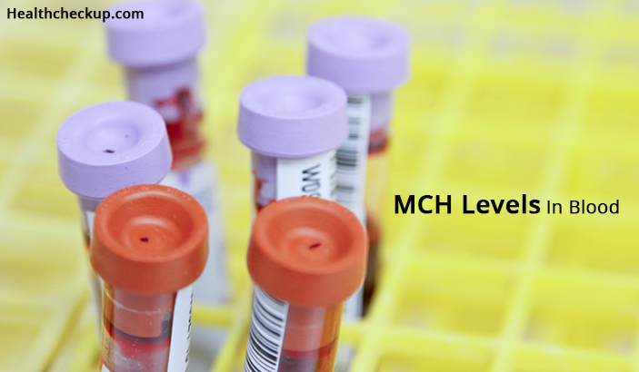 MCH Levels In Blood