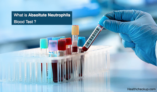 What Is Absolute Neutrophils Blood Test?