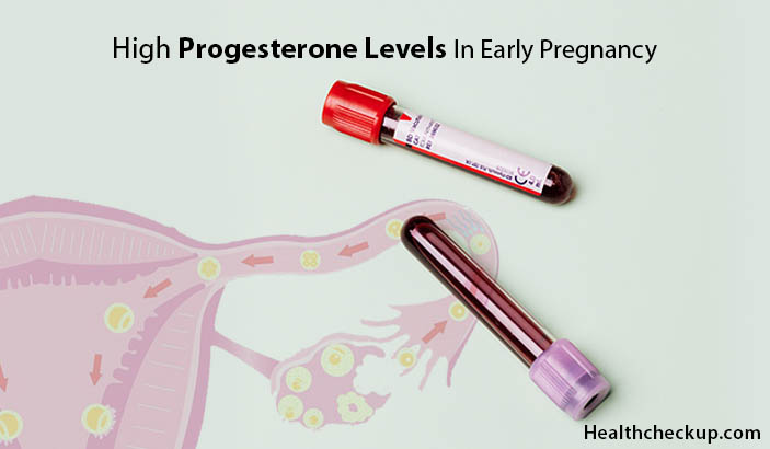 High Progesterone Levels In Early Pregnancy