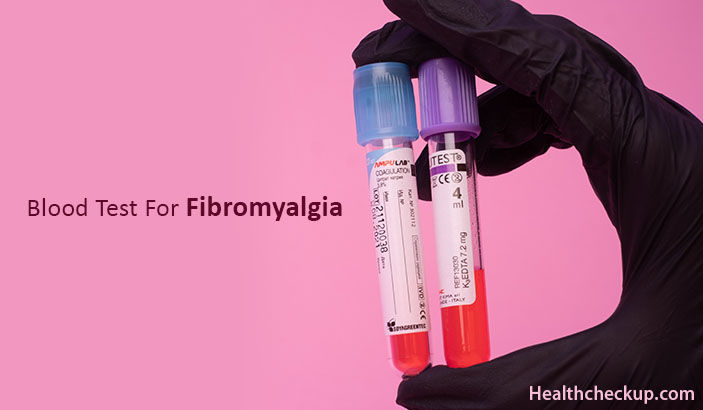 Blood Test For Fibromyalgia