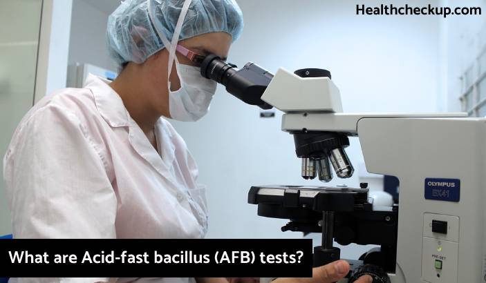 Acid-fast bacillus (AFB) tests - Procedure, Results, Risks