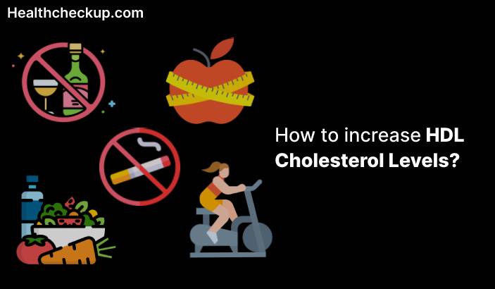 HDL Cholesterol - How to increase HDL Cholesterol Levels?