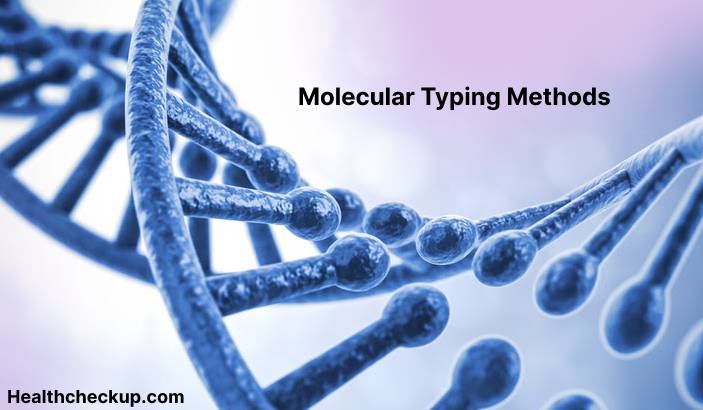 What is Molecular Typing?