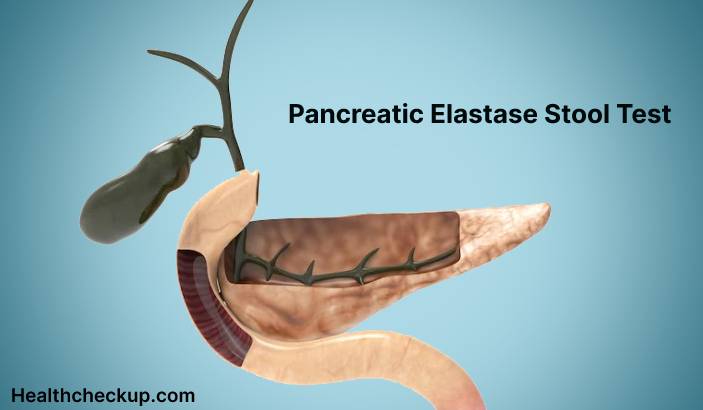 : Pancreatic Elastase Stool Test - Purpose, Procedure, Results, Normal Range