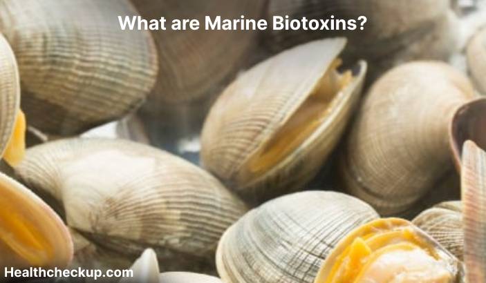 Marine Biotoxins - Definition, Types, Diseases Caused