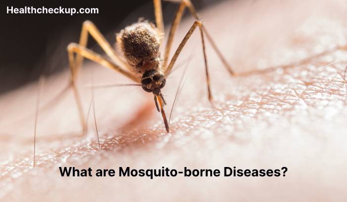 Mosquito-borne diseases - Symptoms, Diagnosis, Treatment, Prevention