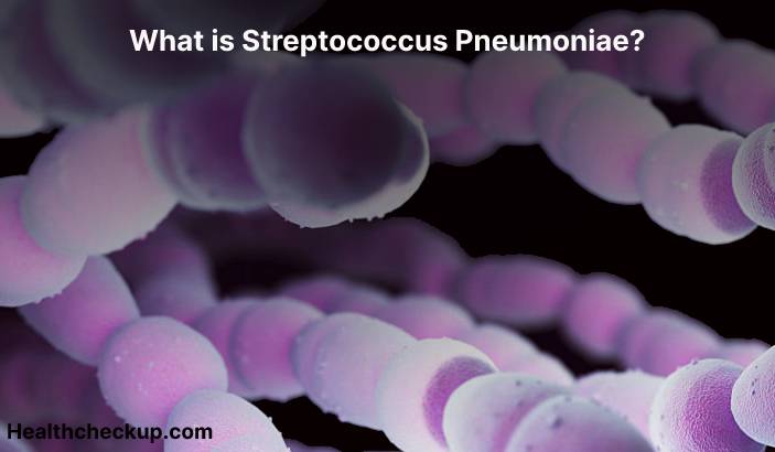 What is Streptococcus pneumoniae?