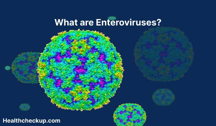 Enteroviruses - Symptoms, Diagnosis, Treatment, Prevention