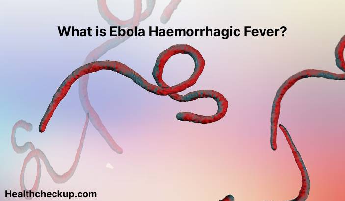 Ebola haemorrhagic fever - Symptoms, Diagnosis, Treatment, Prevention