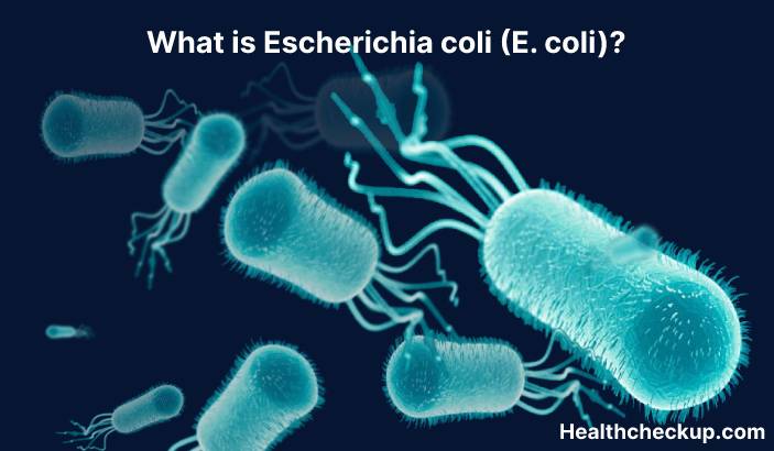 Escherichia coli (E. coli) - Symptoms, Diagnosis, Treatment, Prevention
