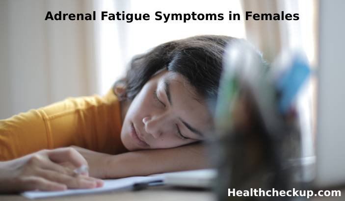 Adrenal Fatigue Symptoms in Females