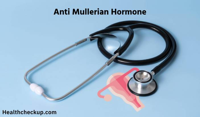 Anti Mullerian Hormone Test - Purpose, Procedure and Results