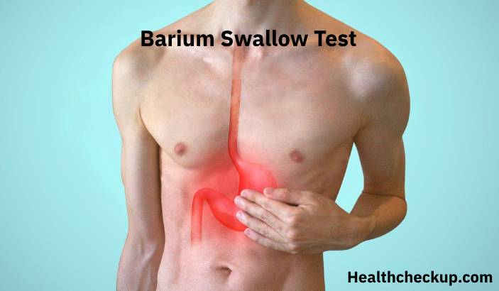 Barium Swallow Test: Purpose, Preparation, Procedure, Results
