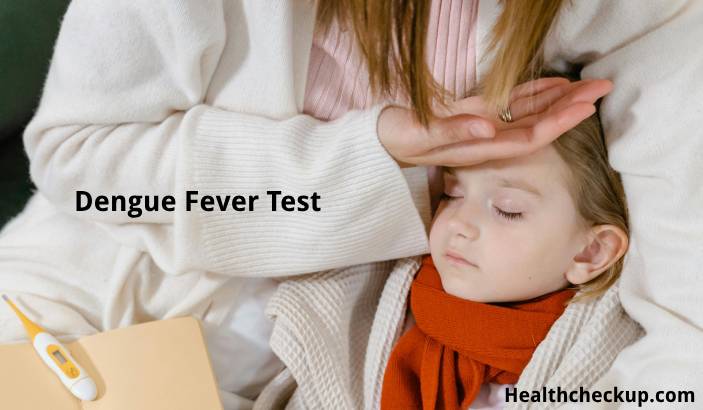 Dengue Fever Test: Types, Normal Range, Results Interpretation