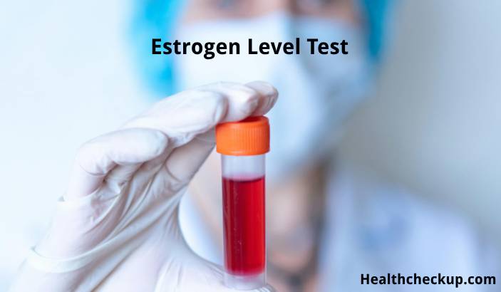 Estrogen Level Test: Understanding Its Importance, Procedure, and Implications