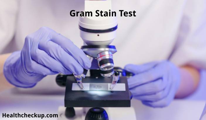 Gram Stain Test - Purpose, Preparation, Procedure, Results & Risks