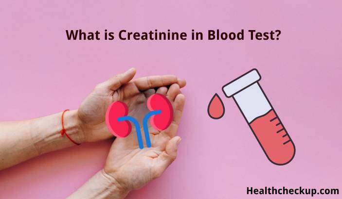 Creatinine Blood Test: What is it, Purpose, Results Interpretation